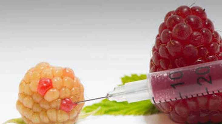 Artificial Additives In Your Food