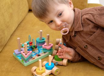 Baby educational toys (1–3 Y)
